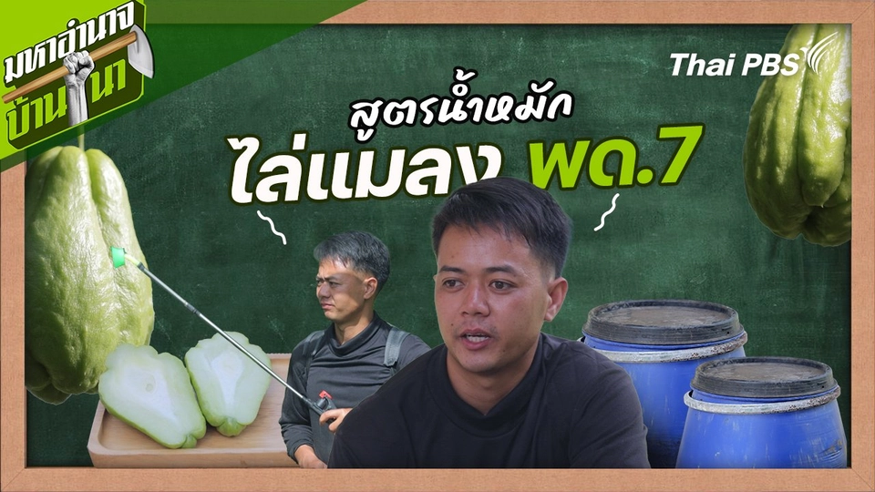 สูตรลับฉบับบ้านนา : สูตรน้ำหมักไล่แมลง พด.7