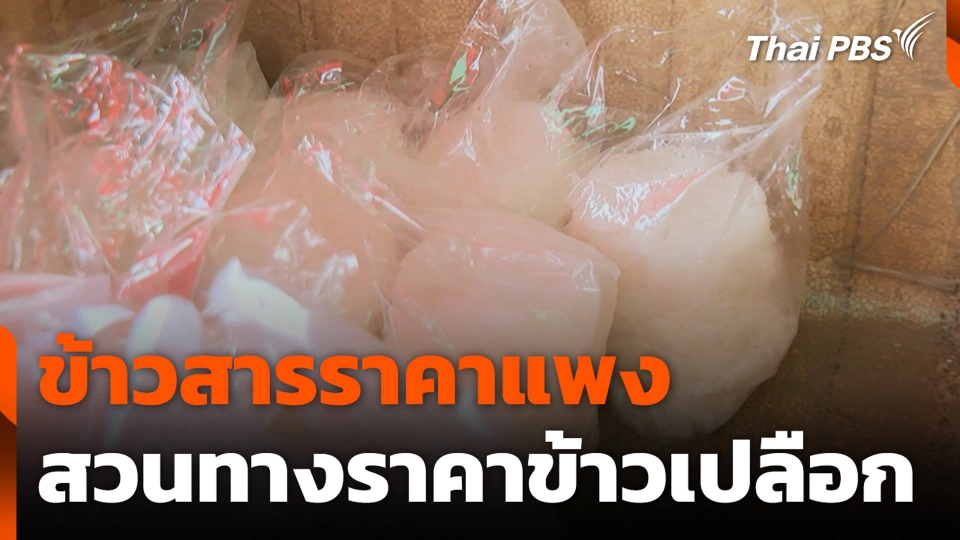 ข้าวสารราคาแพง สวนทางราคาข้าวเปลือก