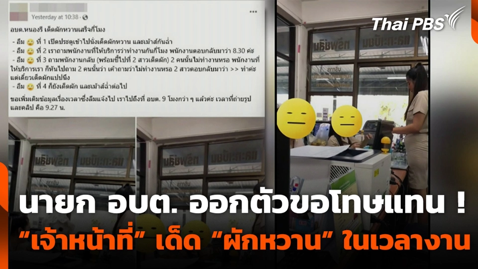 นายก อบต. ออกตัวขอโทษแทน ! “เจ้าหน้าที่” เด็ด “ผักหวาน” ในเวลาราชการ