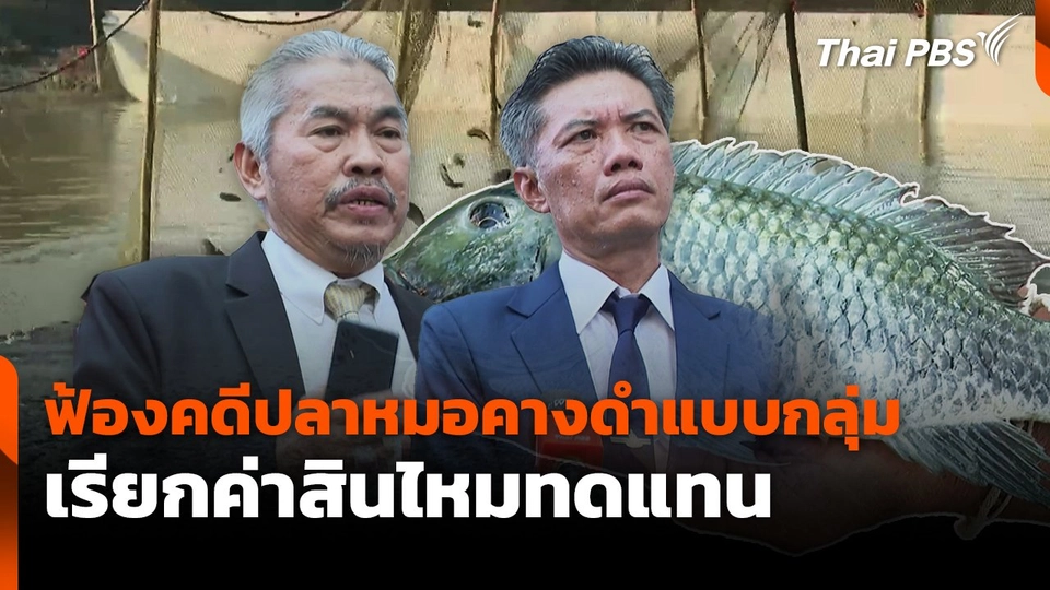 ฟ้องคดีปลาหมอคางดำแบบกลุ่ม เรียกค่าสินไหมทดแทน