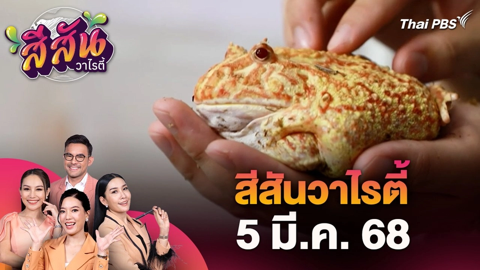 สีสันวาไรตี้ (5 มี.ค. 68) : นักศึกษาไอเดียเจ๋ง เพาะกบสวยงามสร้างรายได้