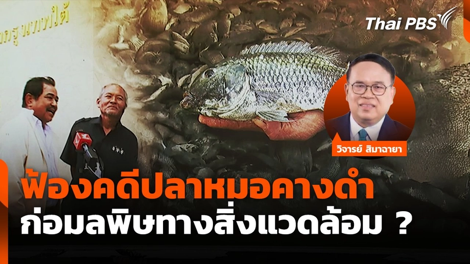 ฟ้องคดีปลาหมอคางดำ ก่อมลพิษทางสิ่งแวดล้อม ?
