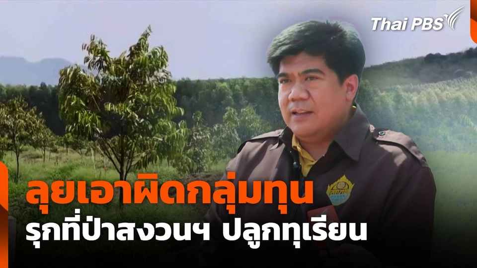 ลุยเอาผิดกลุ่มทุน รุกที่ป่าสงวนฯ ปลูกทุเรียน