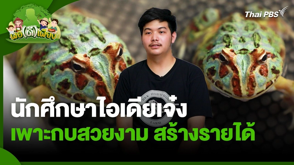 พอดีพอเพียง : นักศึกษาไอเดียเจ๋ง เพาะกบสวยงาม สร้างรายได้