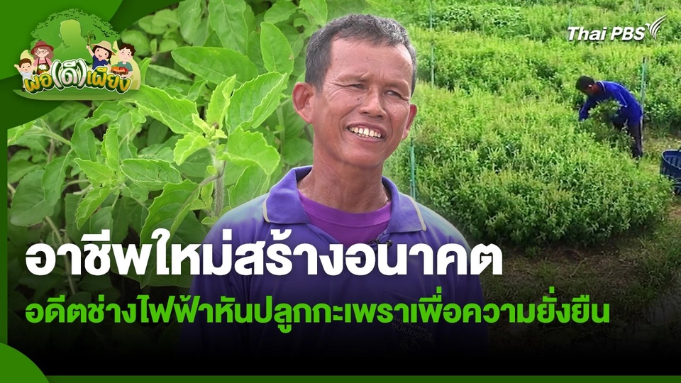 พอดีพอเพียง : อาชีพใหม่สร้างอนาคต อดีตช่างไฟฟ้าหันปลูกกะเพราเพื่อความยั่งยืน