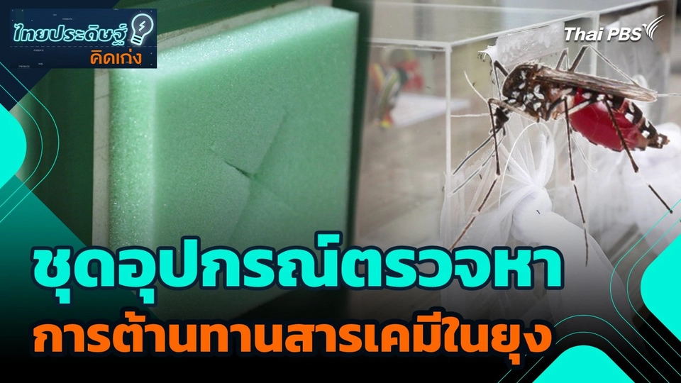 ไทยประดิษฐ์คิดเก่ง : ชุดอุปกรณ์ตรวจหาการต้านทานสารเคมีในยุง