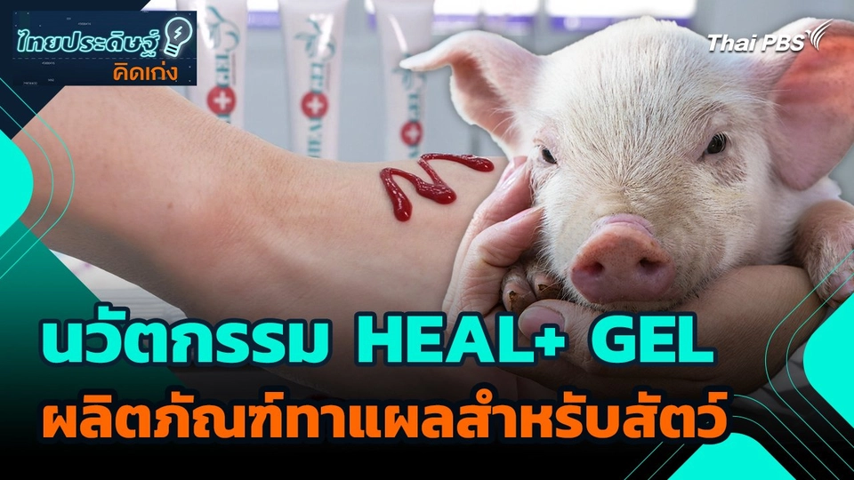 ไทยประดิษฐ์คิดเก่ง : นวัตกรรม HEAL+ GEL ผลิตภัณฑ์ทาแผลสำหรับสัตว์