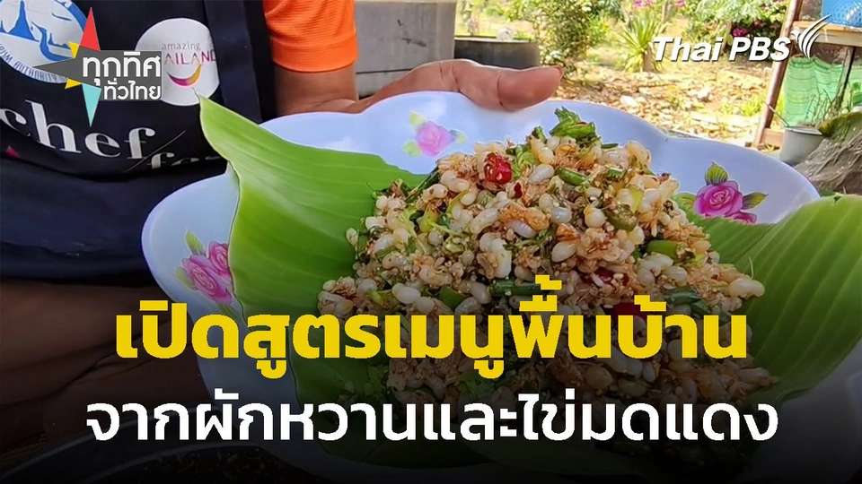 ปลูกผักหวานเลี้ยงมดแดง ทำเมนูพื้นบ้าน จ.นครราชสีมา