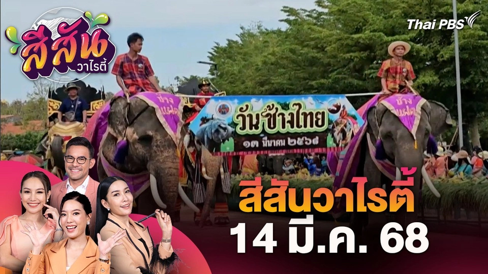 สีสันวาไรตี้ (14 มี.ค. 68) : จังหวัดสุรินทร์จัดยิ่งใหญ่วันช้างไทย