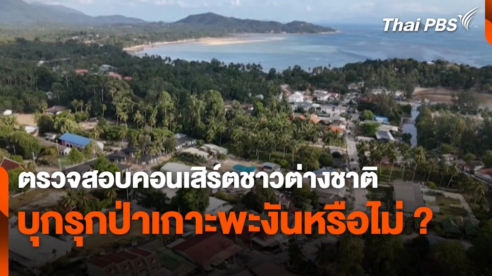 ตรวจสอบคอนเสิร์ตชาวต่างชาติ บุกรุกป่าเกาะพะงันหรือไม่ ?