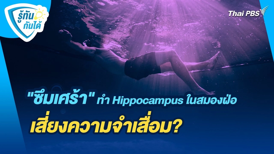 รู้ทันกันได้ : "ซึมเศร้า" ทำ Hippocampus ในสมองฝ่อ เสี่ยงความจำเสื่อม?