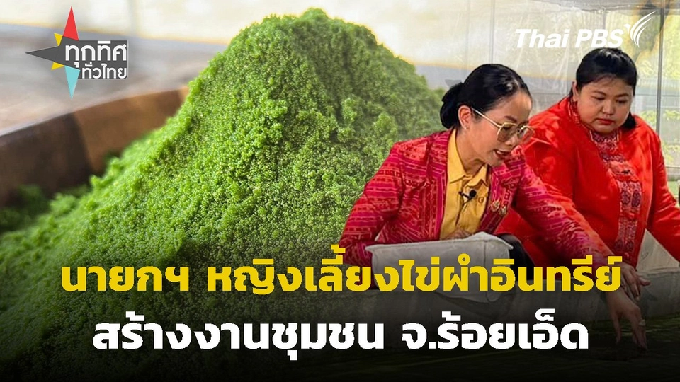 นายกฯ หญิงเลี้ยงไข่ผำอินทรีย์สร้างงานชุมชน จ.ร้อยเอ็ด