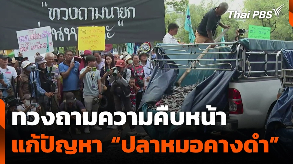 ทวงถามความคืบหน้า แก้ปัญหา “ปลาหมอคางดำ” จากรัฐบาล