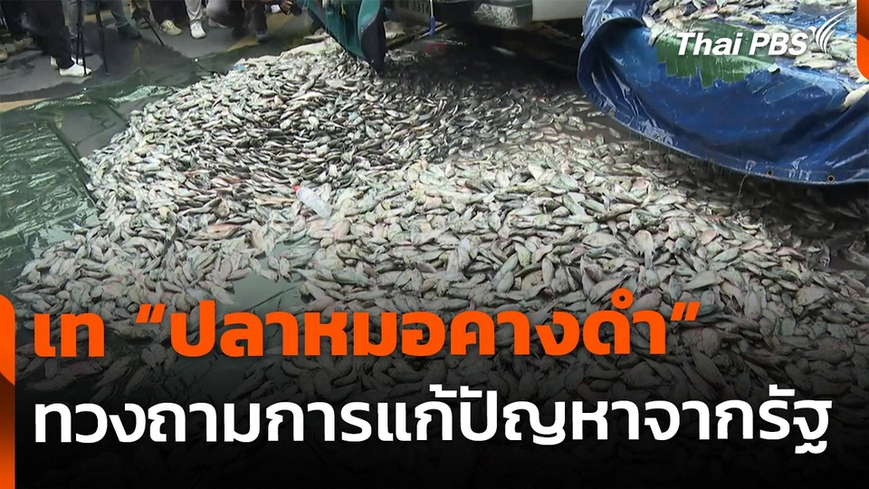 เท "ปลาหมอคางดำ" หน้าทำเนียบฯ ทวงถามการแก้ปัญหา