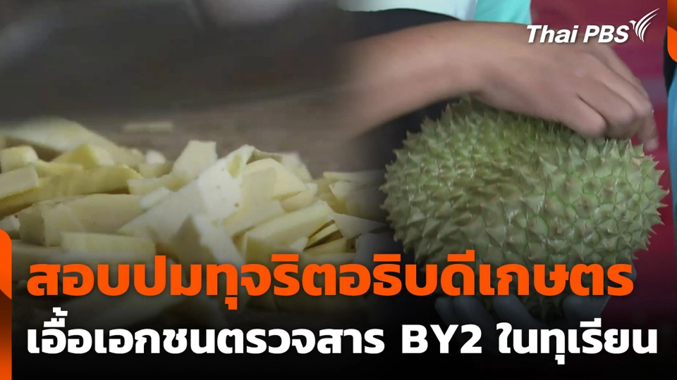 สอบปมทุจริตอธิบดีเกษตร เอื้อเอกชนตรวจสาร BY2 ในทุเรียน