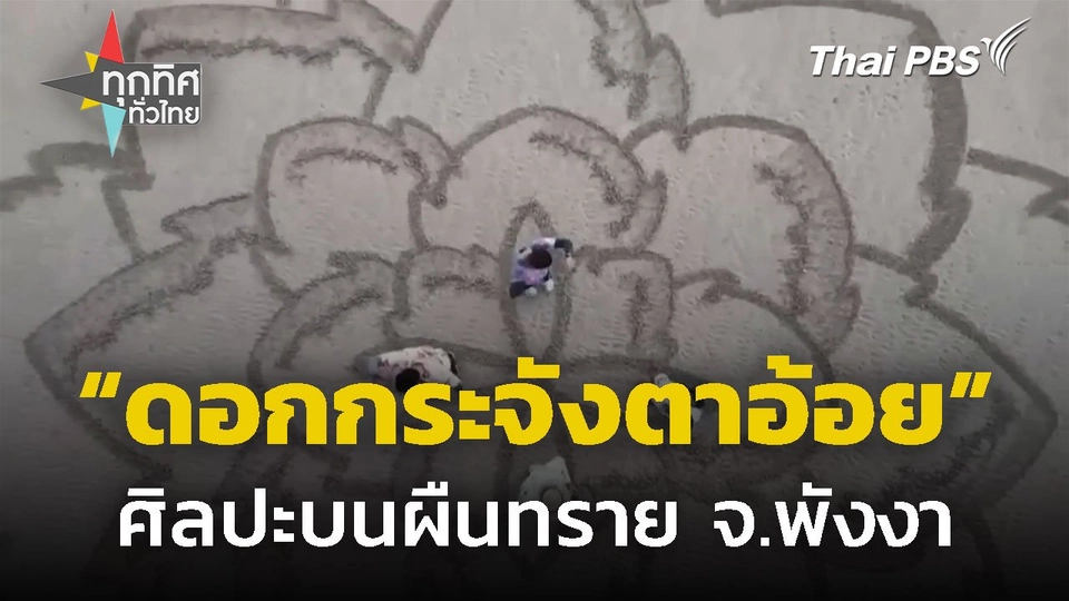 "ดอกกระจังตาอ้อย" ศิลปะบนผืนทราย จ.พังงา