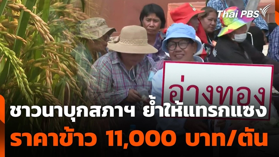 สถานีร้องเรียน : ชาวนาบุกสภาฯ ย้ำให้แทรกแซงราคาข้าว 11,000 บาทต่อตัน