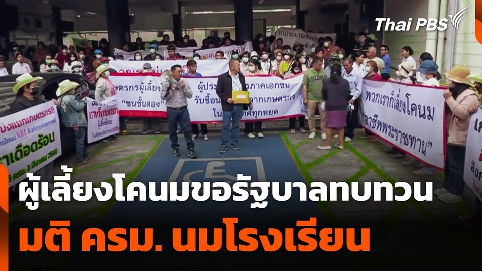 ผู้เลี้ยงโคนมขอรัฐบาลทบทวนมติ ครม. "นมโรงเรียน"
