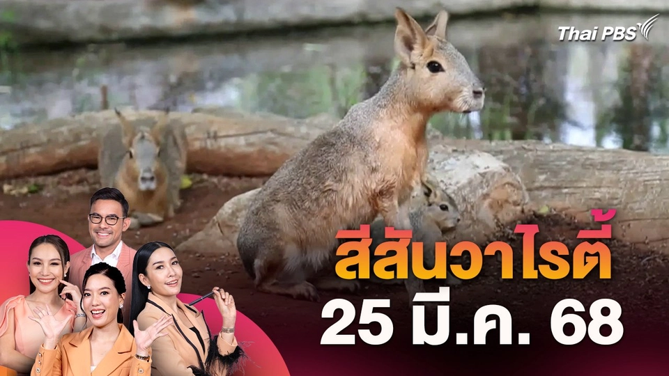 สีสันวาไรตี้ (25 มี.ค. 68)