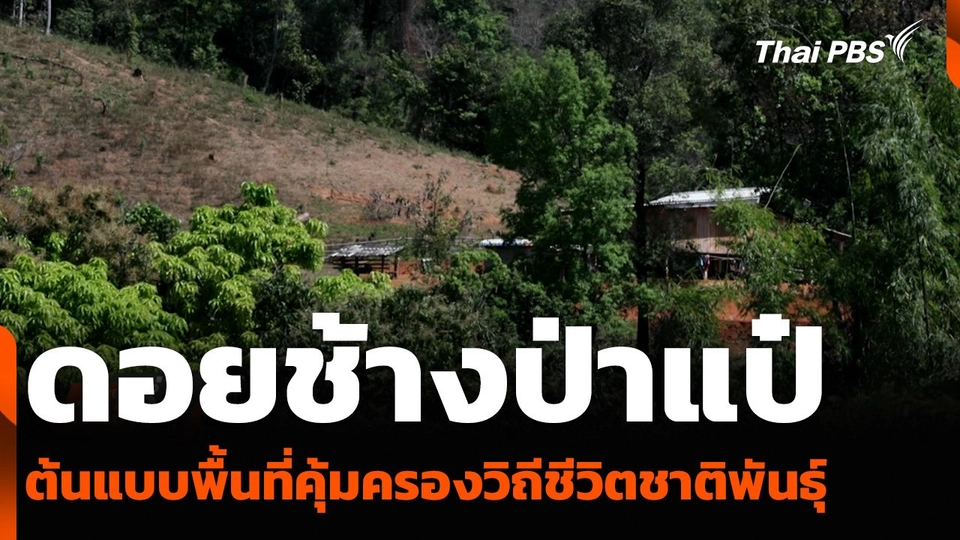 ดอยช้างป่าแป๋ ต้นแบบพื้นที่คุ้มครองวิถีชีวิตชาติพันธุ์