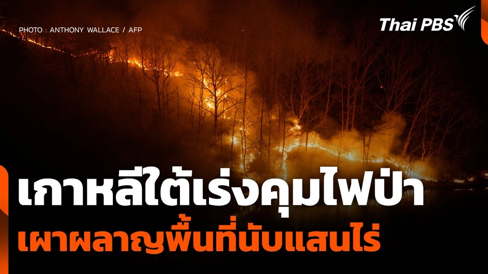 เกาหลีใต้เร่งคุมไฟป่า เผาผลาญพื้นที่นับแสนไร่