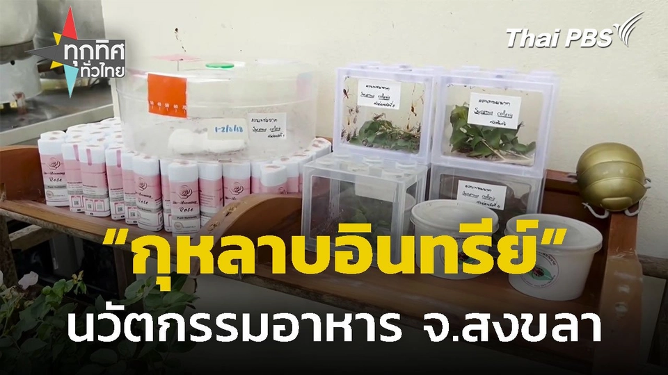 วิจัยนวัตกรรมอาหารเสริมกุหลาบอินทรีย์ จ.สงขลา