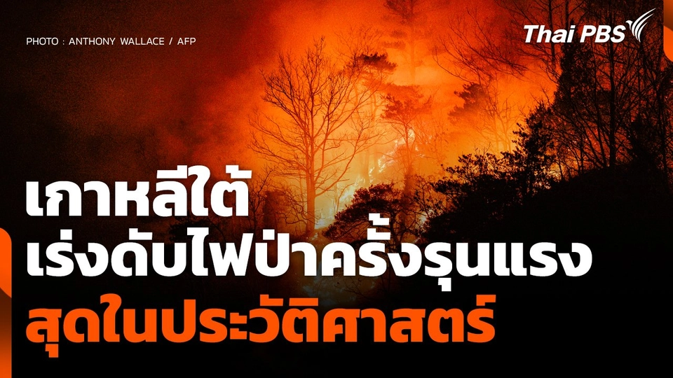 เกาหลีใต้เร่งดับไฟป่าครั้งรุนแรงสุดในประวัติศาสตร์