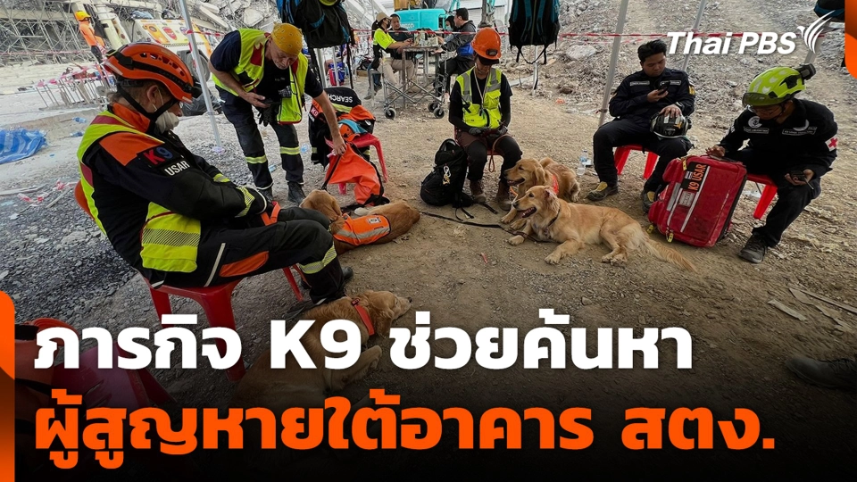 ภารกิจ K9 ช่วยค้นหาผู้สูญหายใต้อาคาร สตง.