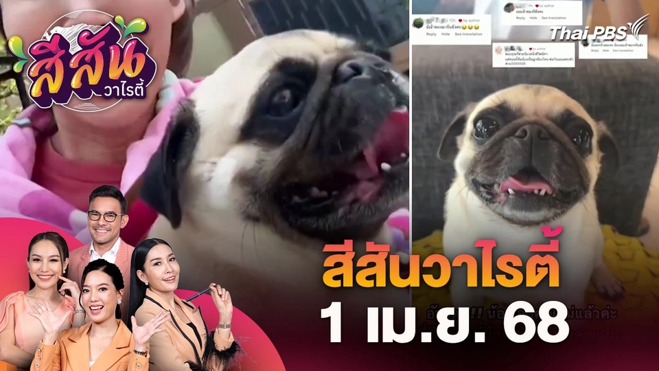 สีสันวาไรตี้ (1 เม.ย. 68)