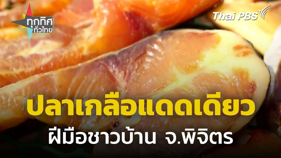 รวมกลุ่มทำปลาเกลือแดดเดียว จ.พิจิตร