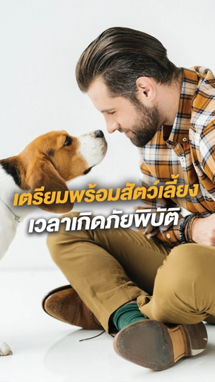 เตรียมพร้อมสัตว์เลี้ยง เวลาเกิดภัยพิบัติ