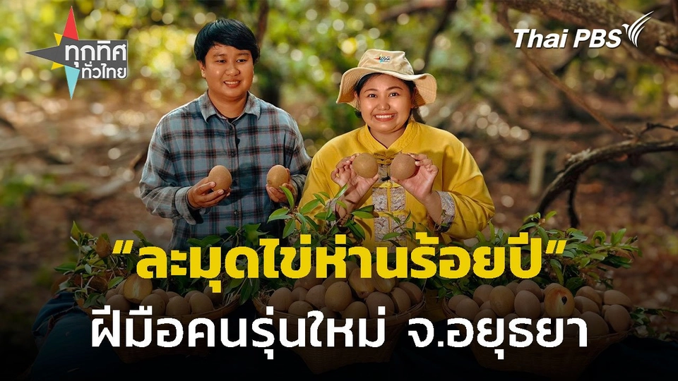 คนรุ่นใหม่สานต่อ "สวนละมุดไข่ห่านร้อยปี" จ.พระนครศรีอยุธยา