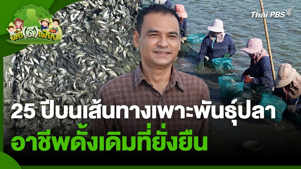 พอดีพอเพียง : 25 ปีบนเส้นทางเพาะพันธุ์ปลา อาชีพดั้งเดิมที่ยั่งยืน