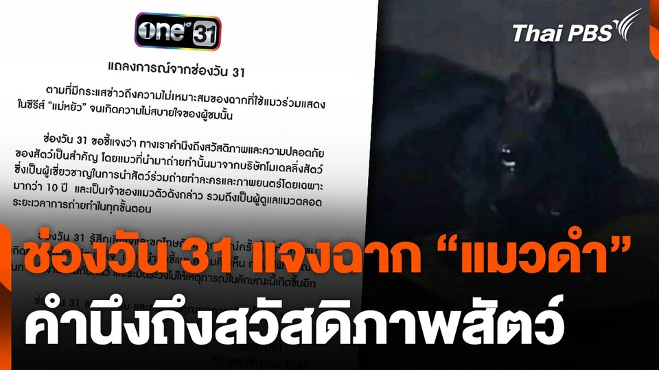 ช่องวัน 31 ชี้แจงฉาก "แมวดำ" คำนึงถึงสวัสดิภาพสัตว์