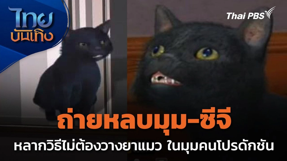 ถ่ายหลบมุม-ซีจี หลากวิธีไม่ต้องวางยาแมว ในมุมคนโปรดักชัน