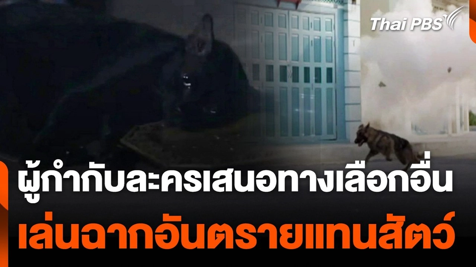 ผู้กำกับละครเสนอทางเลือกอื่น เล่นฉากอันตรายแทนสัตว์