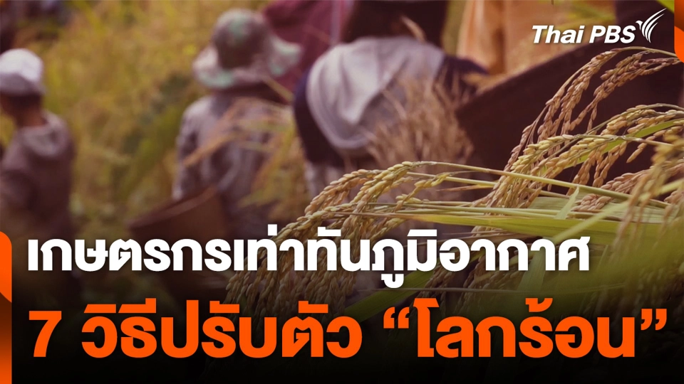 เกษตรกรเท่าทันภูมิอากาศ 7 วิธีปรับตัว "โลกร้อน"