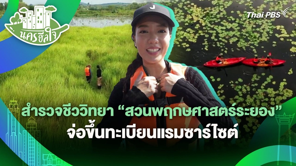 นครฮีลใจ : สำรวจชีววิทยา "สวนพฤกษศาสตร์ระยอง" จ่อขึ้นทะเบียนแรมซาร์ไซต์