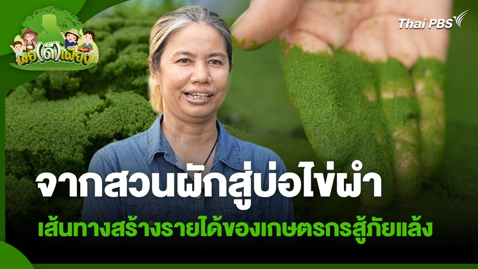 พอดีพอเพียง : จากสวนผักสู่บ่อไข่ผำ เส้นทางสร้างรายได้ของเกษตรกรสู้ภัยแล้ง