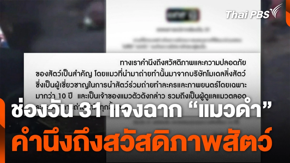 ช่องวัน 31 แจงฉาก "แมวดำ" คำนึงถึงสวัสดิภาพสัตว์