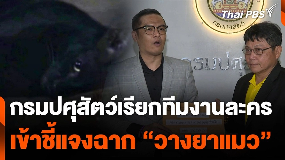 กรมปศุสัตว์เรียกทีมงานละครเข้าชี้แจงฉาก "วางยาแมว"