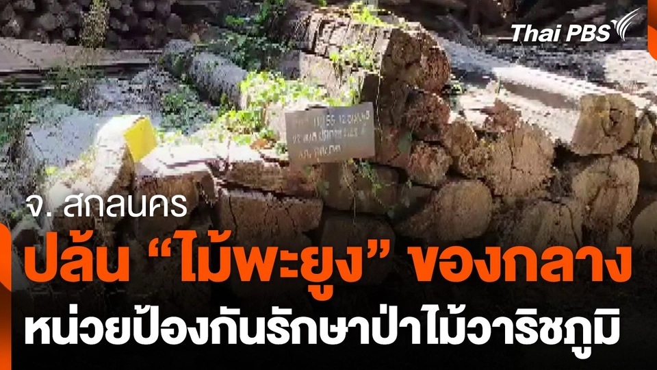 ปล้น "ไม้พะยูง" ของกลาง หน่วยป้องกันรักษาป่าไม้วาริชภูมิ จ. สกลนคร