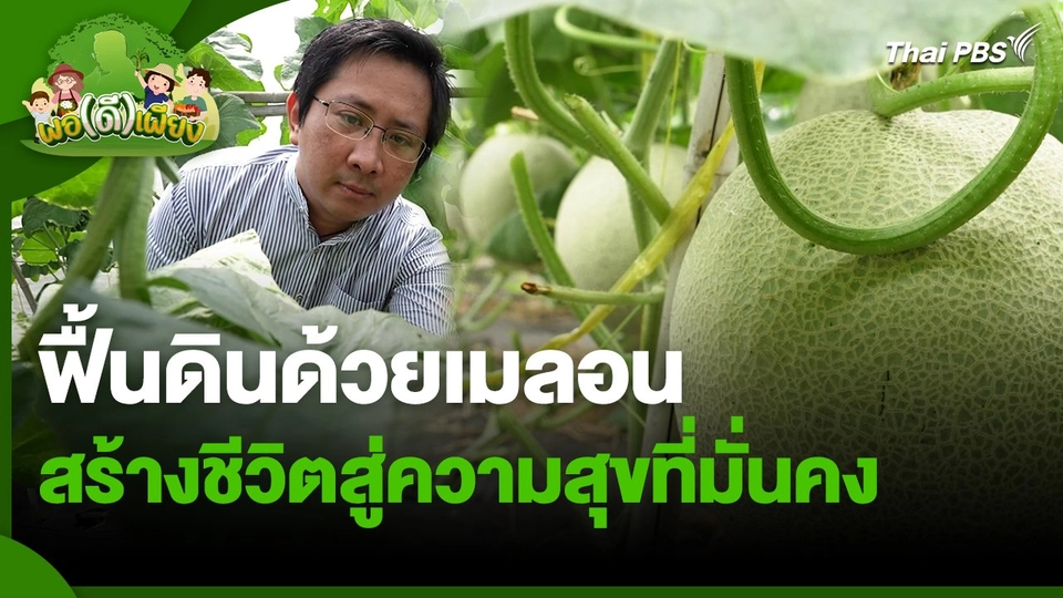 พอดีพอเพียง : ฟื้นดินด้วยเมลอน สร้างชีวิตสู่ความสุขที่มั่นคง