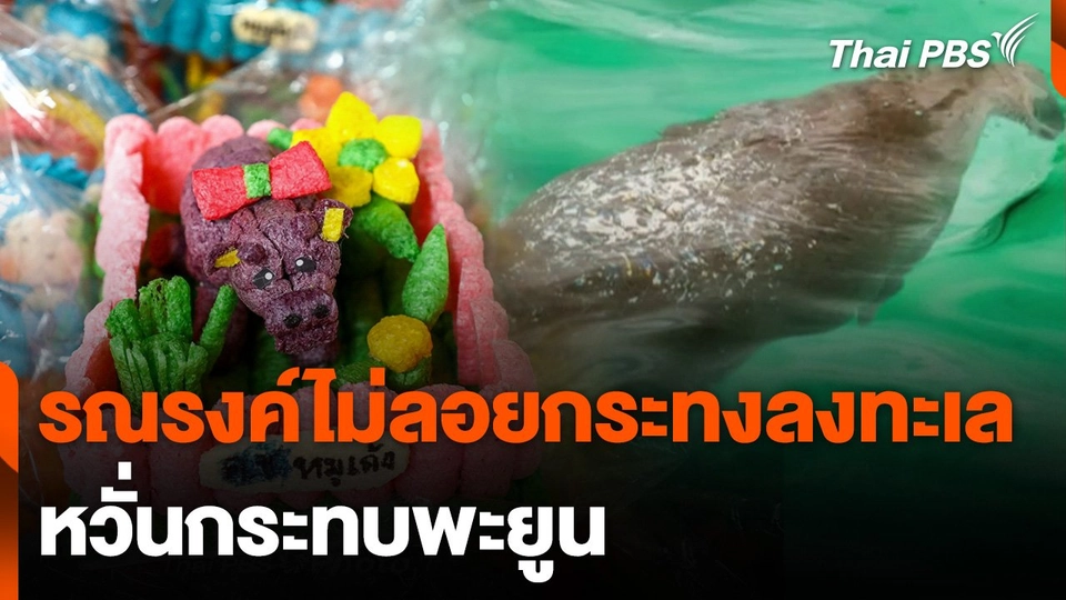 รณรงค์ไม่ลอยกระทงลงทะเล หวั่นกระทบพะยูน