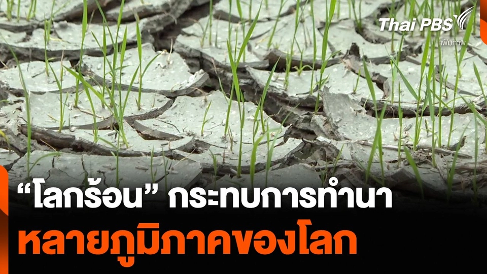 “โลกร้อน” กระทบการทำนา หลายภูมิภาคของโลก