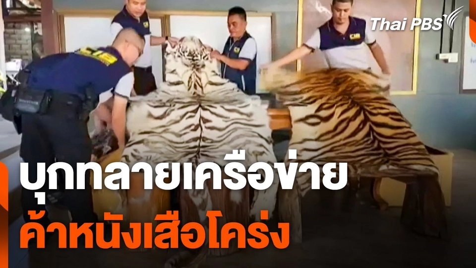 บุกทลายเครือข่ายค้าหนังเสือโคร่ง