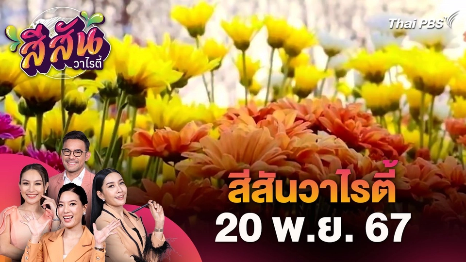 สีสันวาไรตี้ (20 พ.ย. 67)