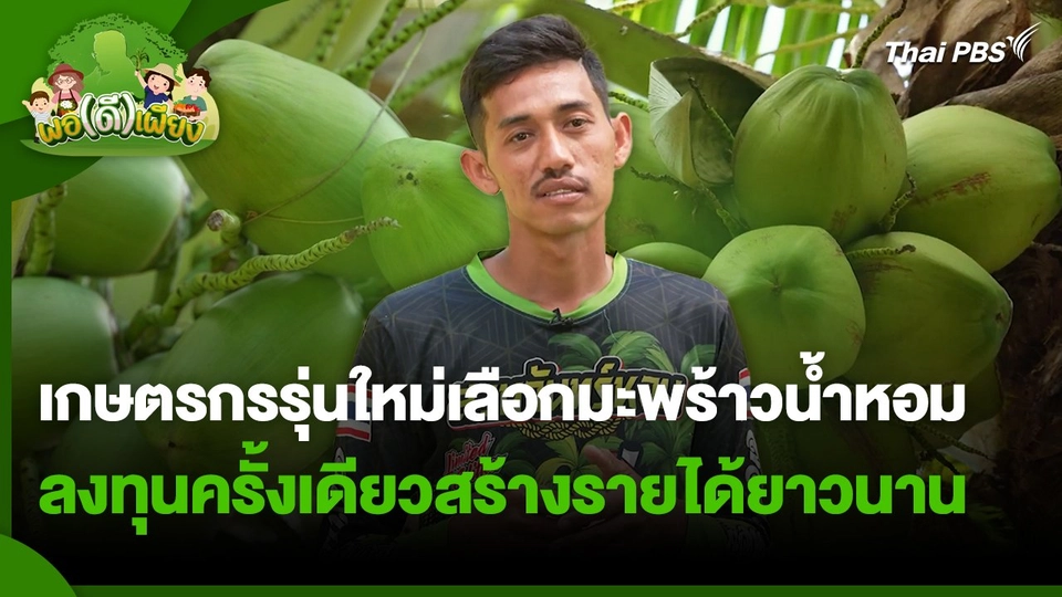 พอดีพอเพียง : เกษตรกรรุ่นใหม่เลือกมะพร้าวน้ำหอม ลงทุนครั้งเดียวสร้างรายได้ยาวนาน