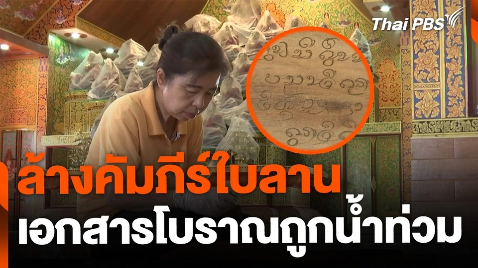 อาสาสมัครล้างคัมภีร์ใบลานถูกน้ำท่วม จ.เชียงใหม่