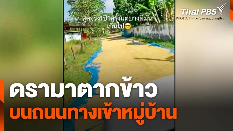 ดรามา ! ตากข้าวบนถนนทางเข้าหมู่บ้าน